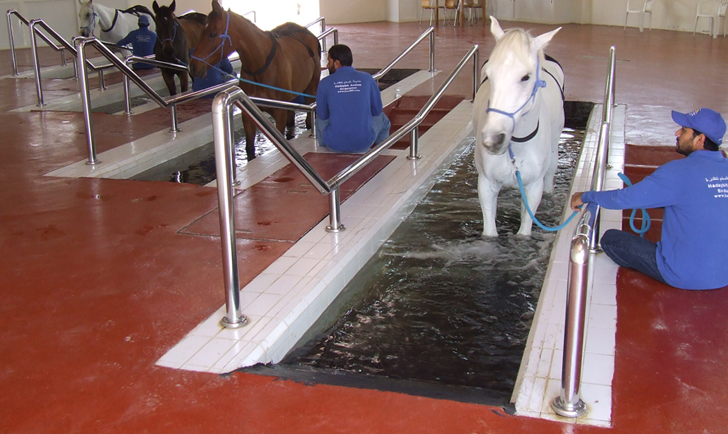 KHAIL SPA ( EQUINE SPA)