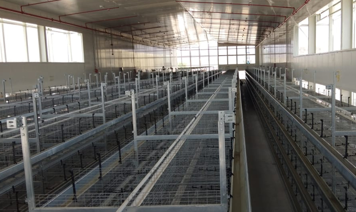 POULTRY CAGES INSTALLATION