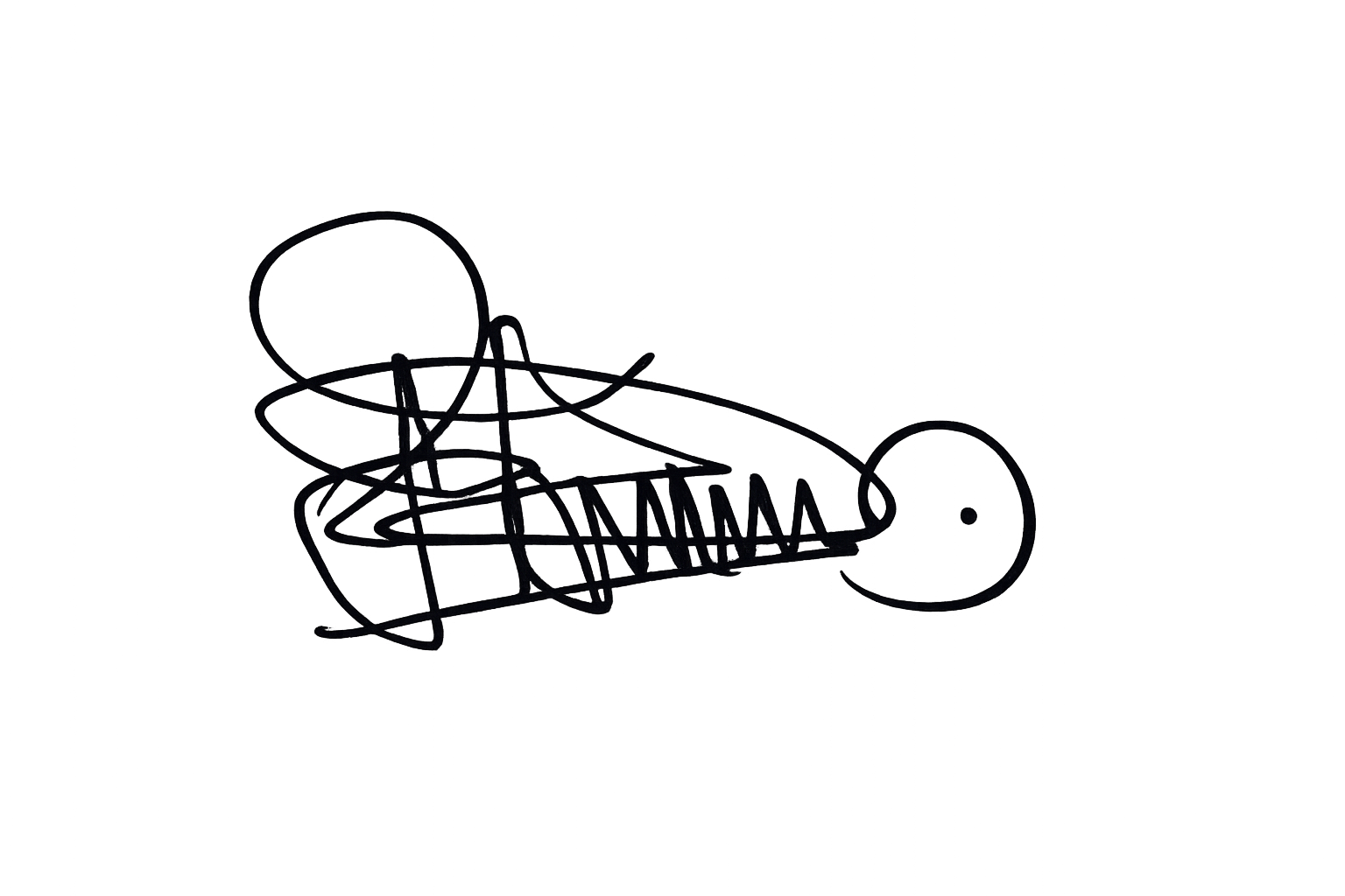 Johnson B. T. Signature