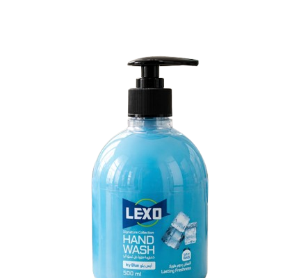 Hand Wash 500 ml – Icy Blue
