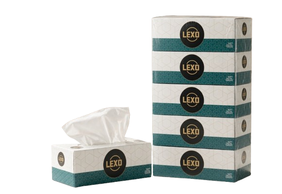 Soft Facial Tissue 170 × 2 Ply – Green Multipack
